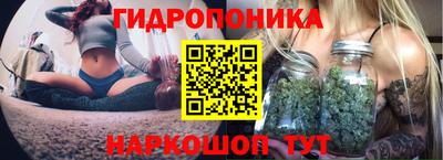 ALPHA PVP Моздок