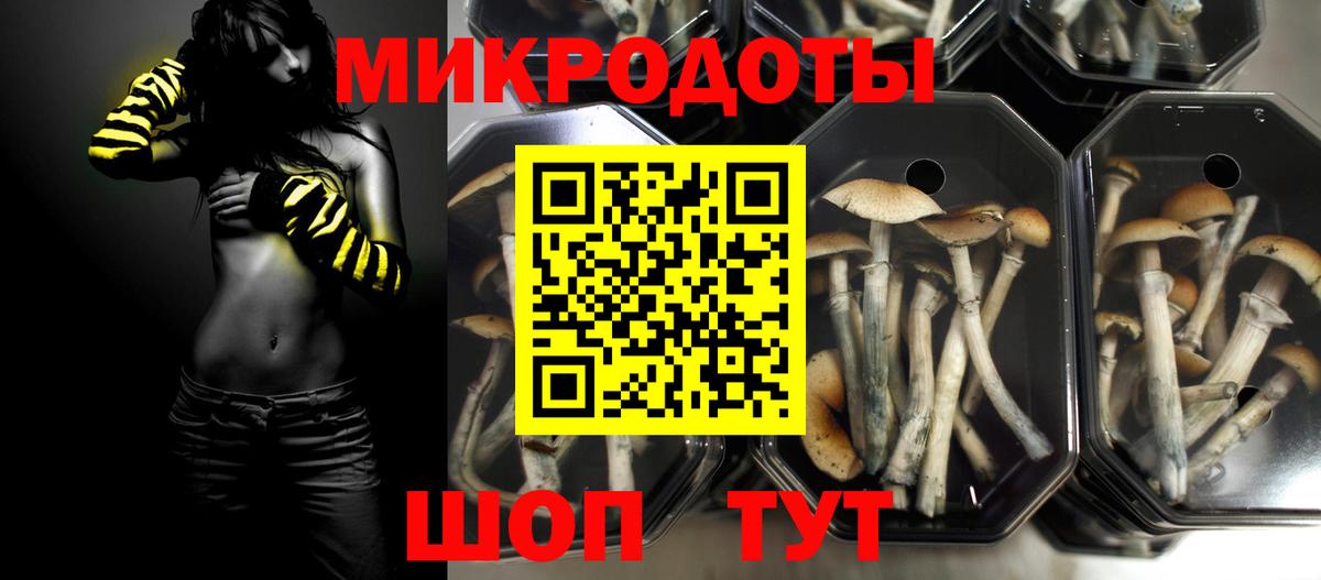 магазин продажи   Вход с VPN  Чистополь  Псилоцибиновые грибы Psilocybe  Галлюциногенные грибы мухоморы 